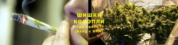 spice Алзамай