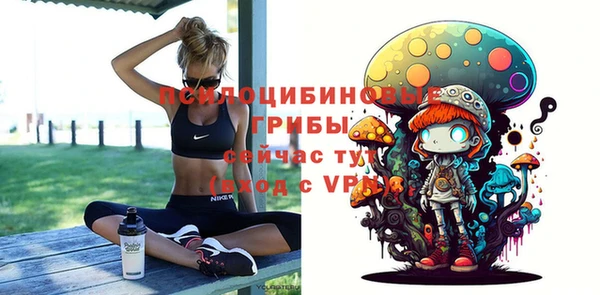 бутират Алексин