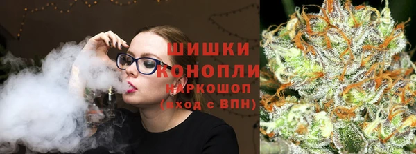 гидропоника Рославль